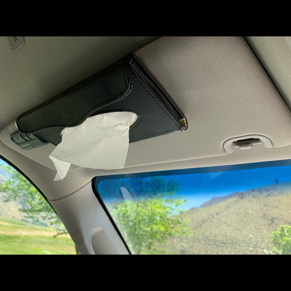 Leather car tissue holder